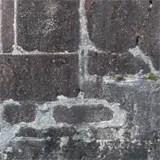 目地